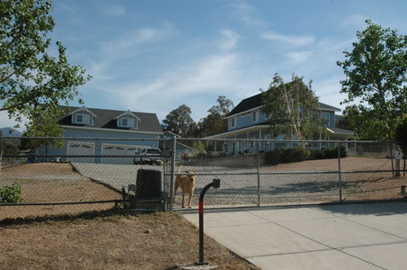 Enlarge photo 4