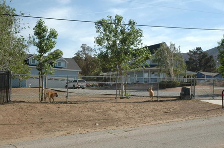 Enlarge photo 7