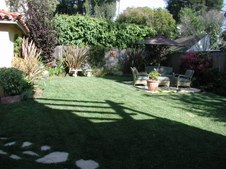 Enlarge photo 30