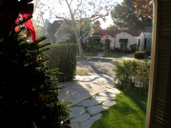 Enlarge photo 50