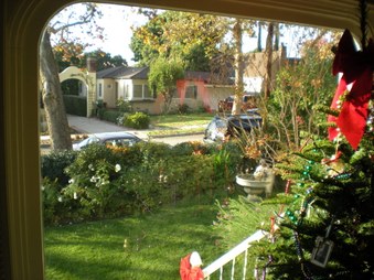 Enlarge photo 52