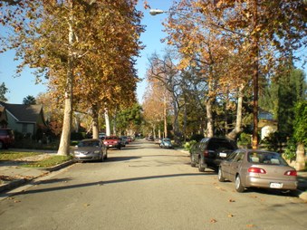 Enlarge photo 57