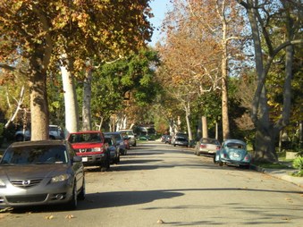 Enlarge photo 61