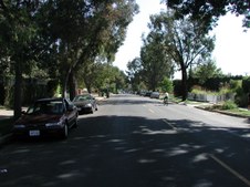 Enlarge photo 51