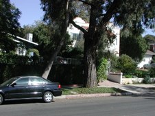 Enlarge photo 53