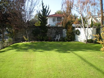Enlarge photo 35
