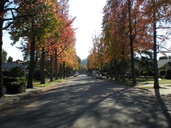 Enlarge photo 37