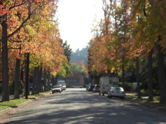 Enlarge photo 38
