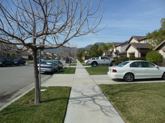 Enlarge photo 34