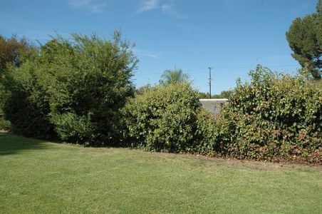 Enlarge photo 40