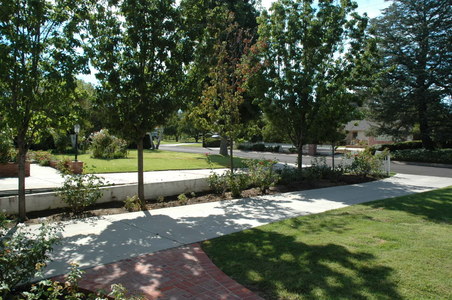 Enlarge photo 48
