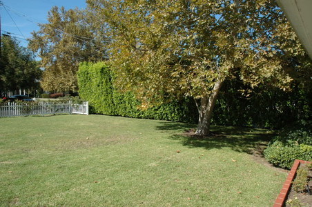 Enlarge photo 50