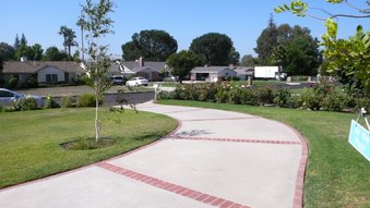 Enlarge photo 16