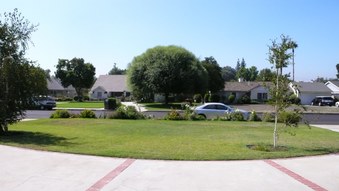 Enlarge photo 17