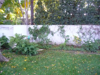 Enlarge photo 53