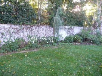 Enlarge photo 54
