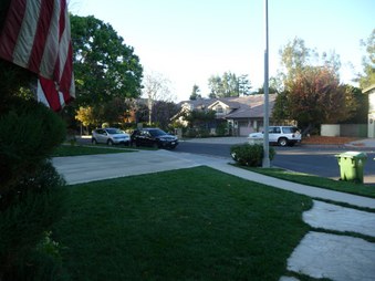 Enlarge photo 61