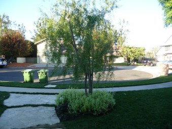 Enlarge photo 62