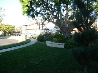 Enlarge photo 63