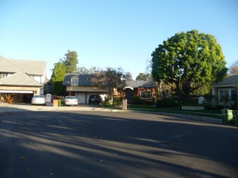 Enlarge photo 67