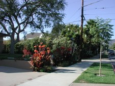 Enlarge photo 53
