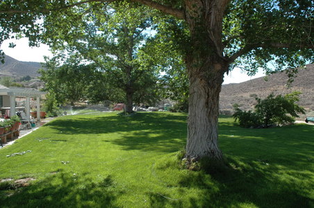 Enlarge photo 2