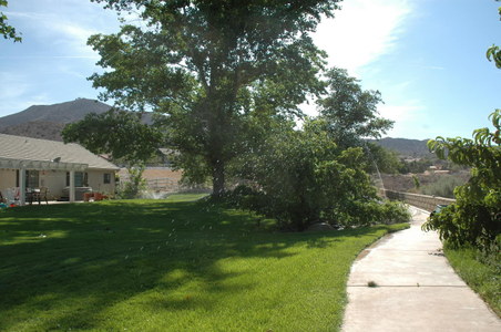 Enlarge photo 9