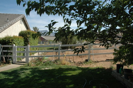 Enlarge photo 12