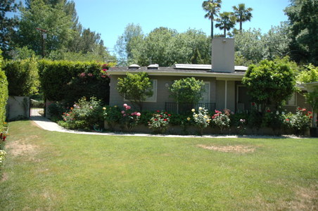 Enlarge photo 35
