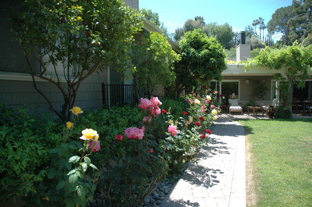 Enlarge photo 38