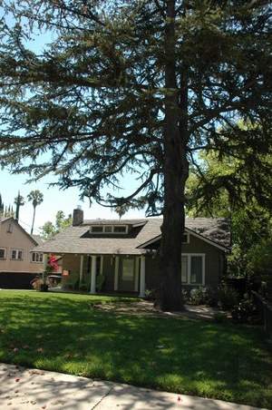 Enlarge photo 10