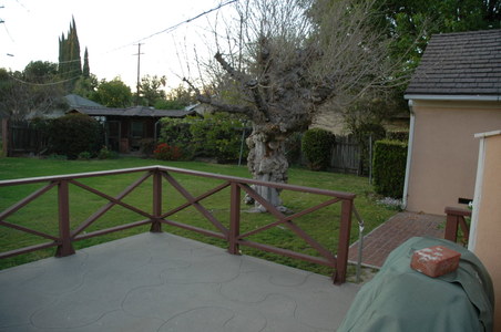 Enlarge photo 65