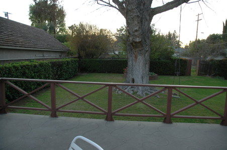 Enlarge photo 67