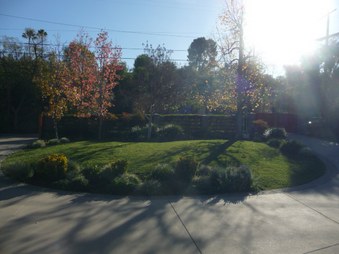 Enlarge photo 3