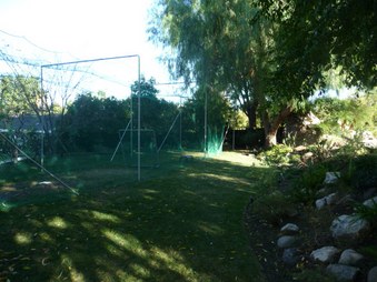 Enlarge photo 55