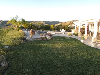 Enlarge photo 45