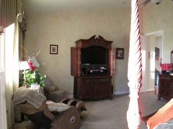 Enlarge photo 66