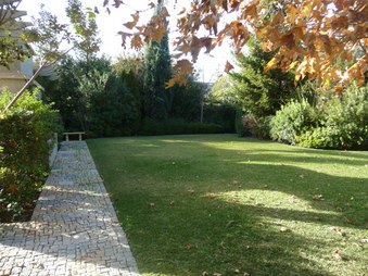 Enlarge photo 82