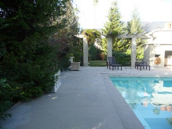 Enlarge photo 88