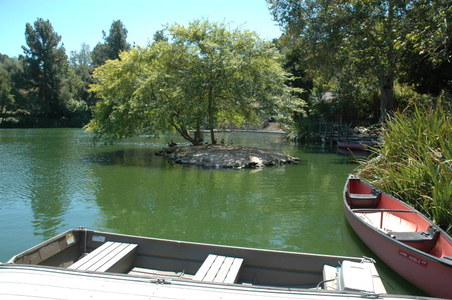 Enlarge photo 22