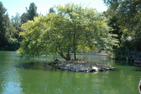 Enlarge photo 23