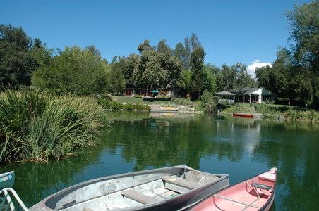 Enlarge photo 24