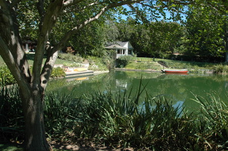 Enlarge photo 26