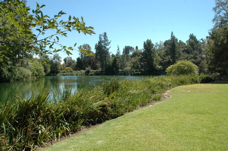 Enlarge photo 29