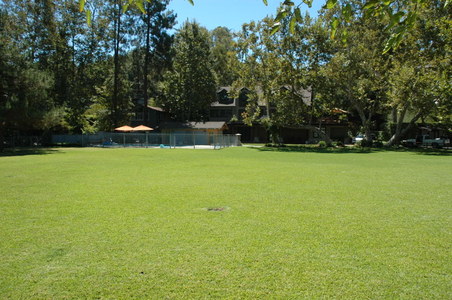 Enlarge photo 31