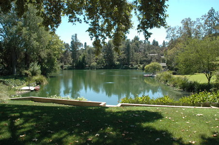 Enlarge photo 35