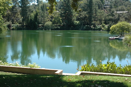 Enlarge photo 34
