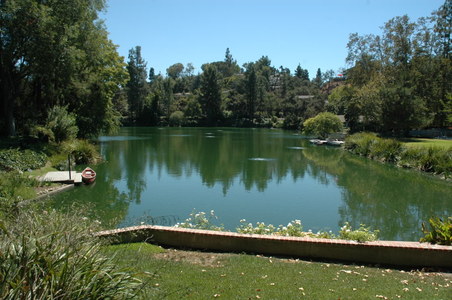 Enlarge photo 33