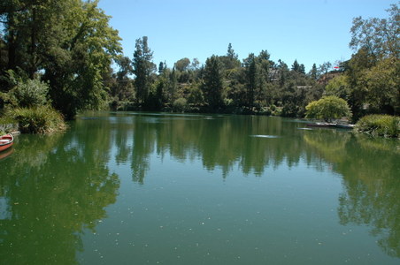 Enlarge photo 38