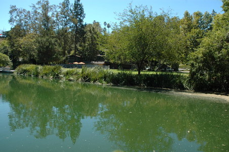 Enlarge photo 41